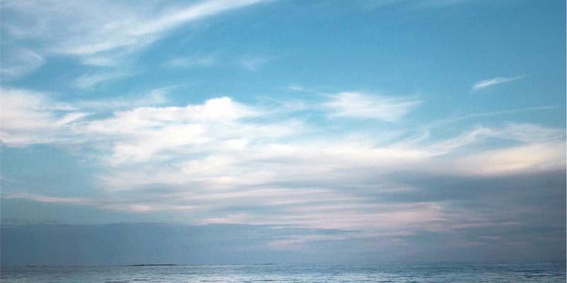 从进化心理学看择偶偏好：如何通过情绪管理与心理咨询实现个人成长