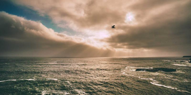 叙事心理学：如何通过重写个人生命故事，重塑身份认同与促进心理健康