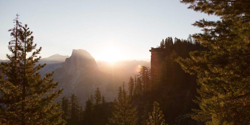 心理健康视角下的消费心理学：锚定效应与稀缺性如何无形操控你的购买决策
