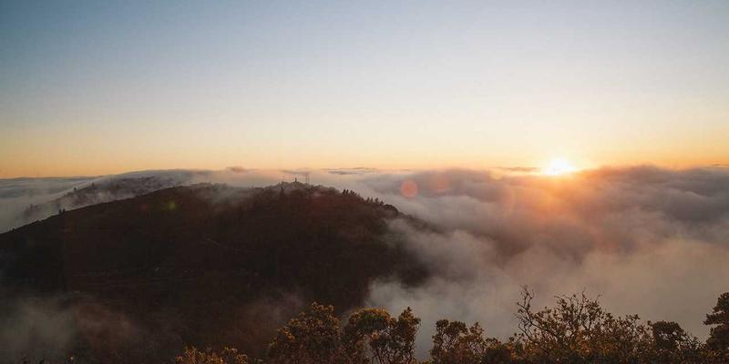 心理学13：从520心理学看心理辅导与个人成长的深层联结