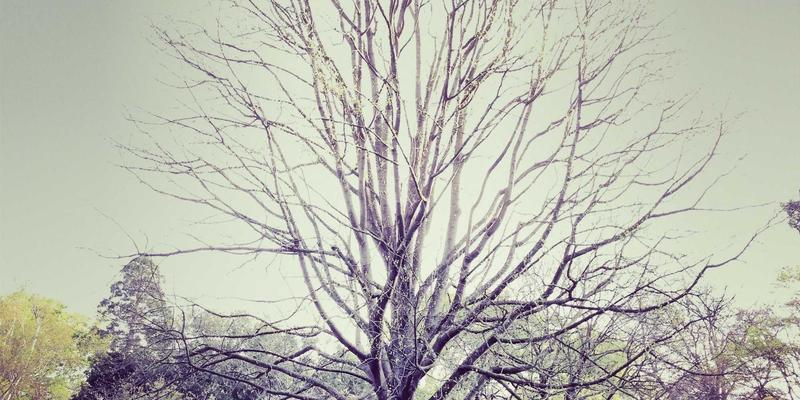 心理学14：解锁心理知识与辅导，开启个人成长新篇章