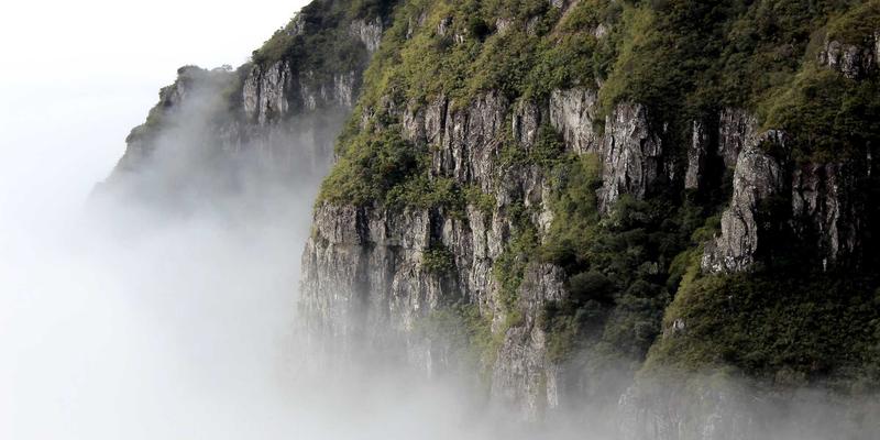 心理学55：掌握心理辅导、心理知识与情绪管理的核心技巧