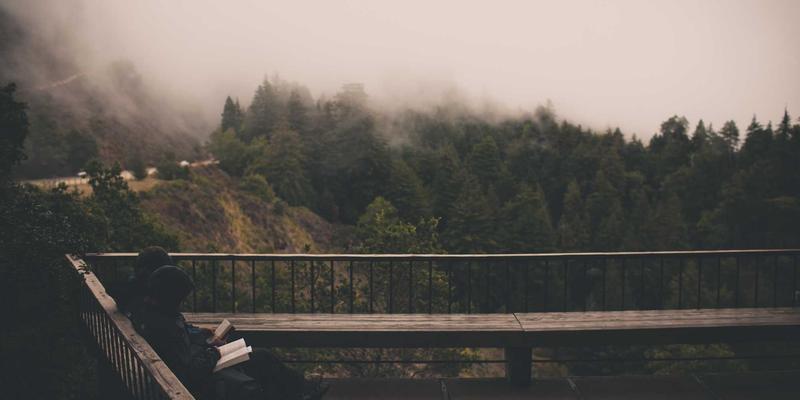 心理学98：解码情绪管理与心理健康的深层联结，让每一天都充满‘520’式关怀