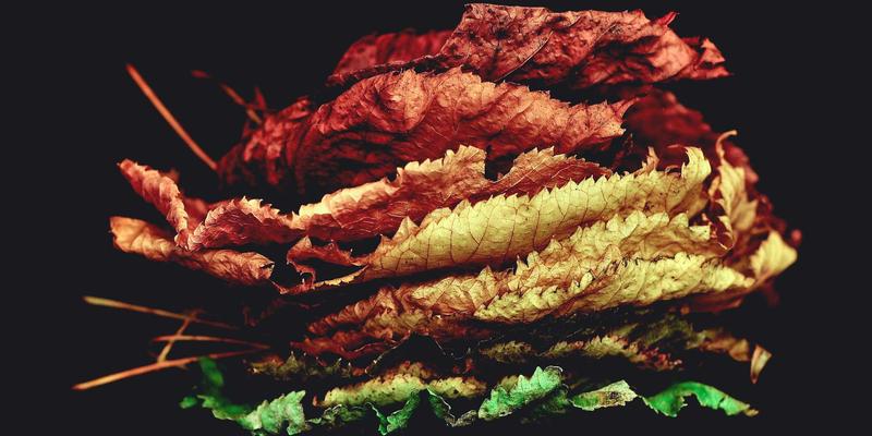 心理学视角：依恋理论如何重塑成人亲密关系与心理健康