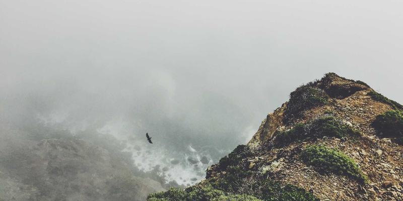 掌握3个核心心理学技巧，开启高效个人成长与情绪管理之路