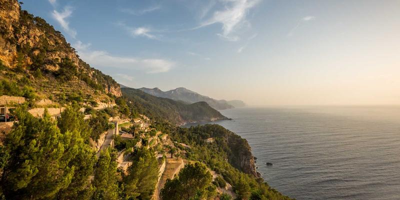 电车难题与心理抉择：520心理学视角下的道德直觉与理性思辨