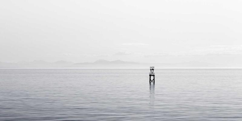 群体思维如何导致决策失误？心理咨询与情绪管理视角下的个人成长指南