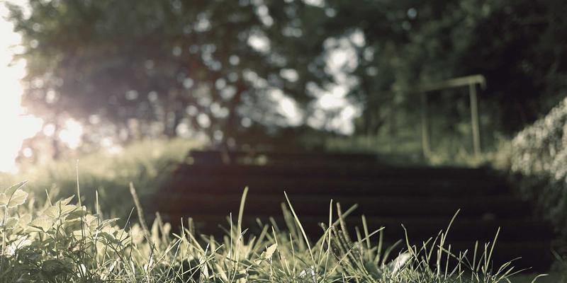 职场心理学：掌握情绪管理与心理辅导，打造高效协作团队