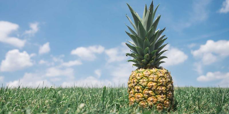 进化心理学如何揭示择偶、嫉妒与合作的深层心理密码 | 心理学与心理健康指南