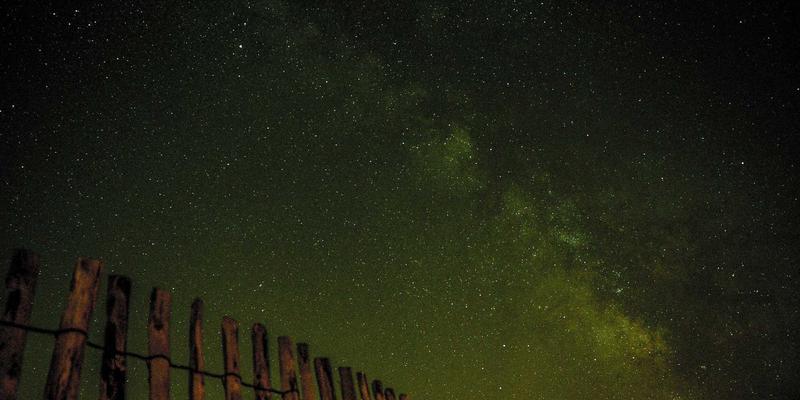 进化心理学解释：为何祖先的生存本能塑造了现代人的焦虑与恐惧